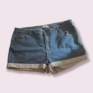 Stretchy Wax Jean Shorts